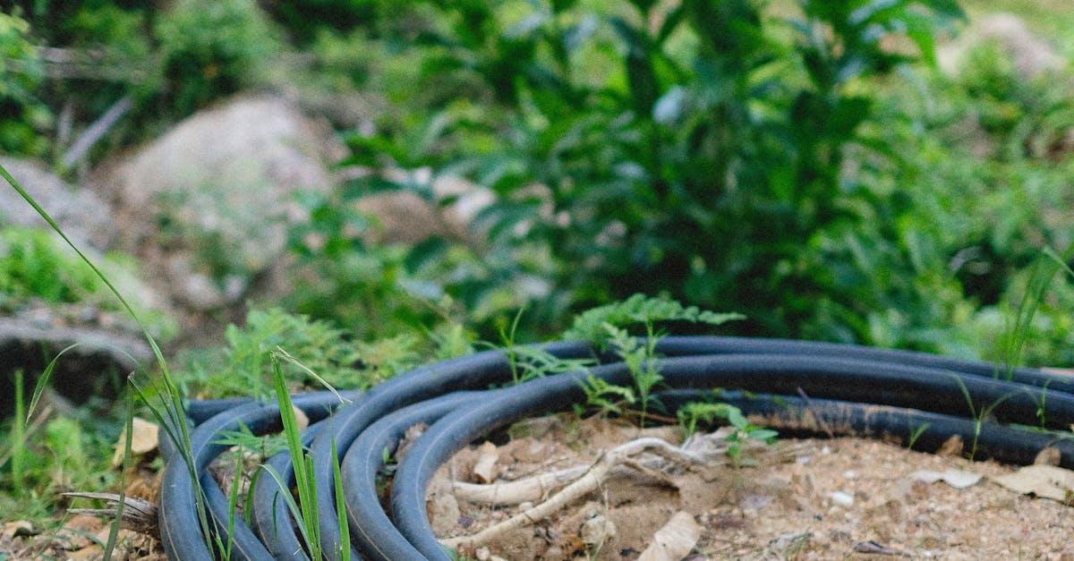 Drain cleaning in Darien, CT