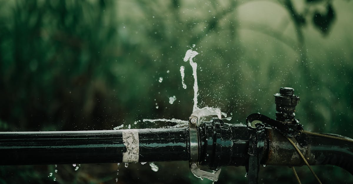 Plumbing service in South Dakota