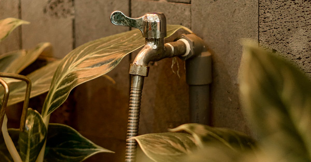 Plumbing service in Phoenix, AZ
