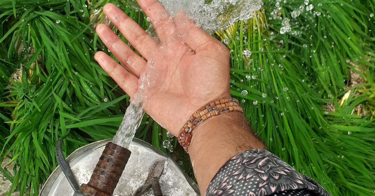 Plumbing service in Largo, FL
